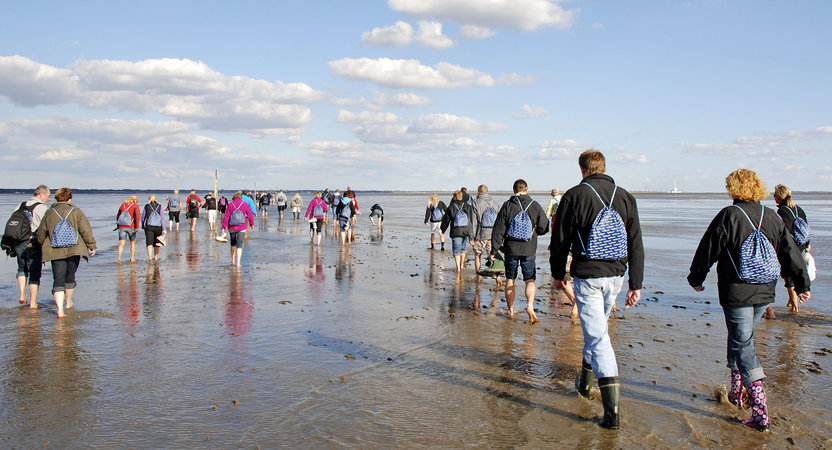 Foto af mennesker der går i Vadehavet